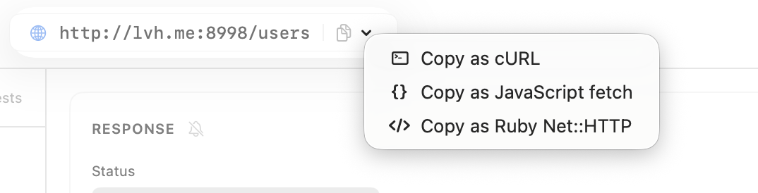 URL bar with code snippet export menu showing cURL, JavaScript fetch, and Ruby options